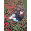 Romashka88