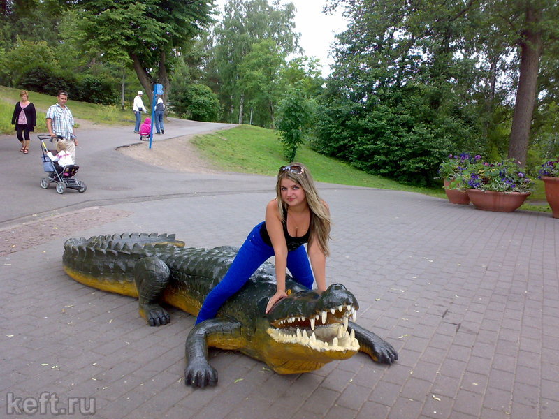Stervozka