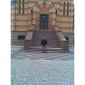 fredom